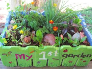 Kids-salad-garden-in-a-box1